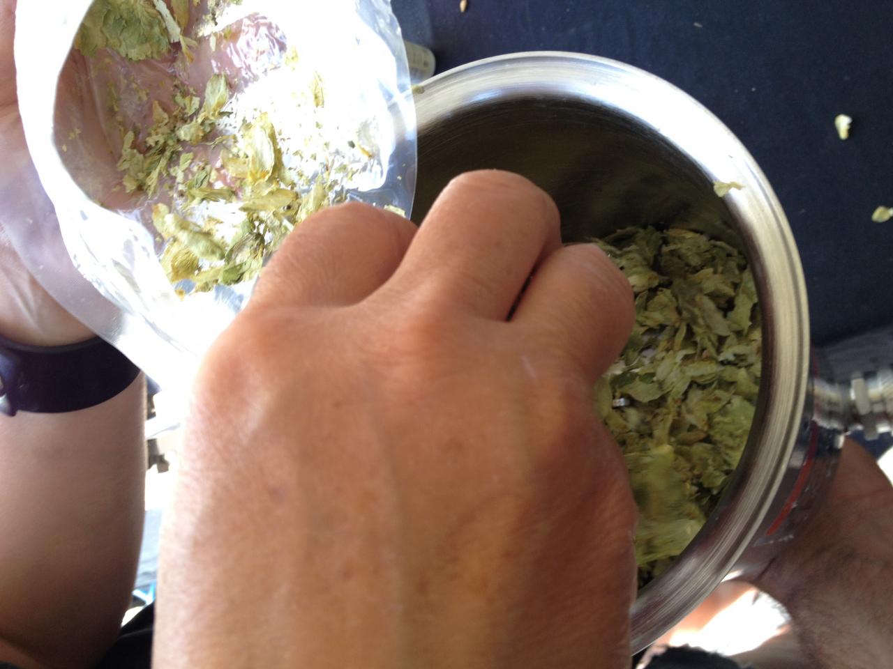 houblon
